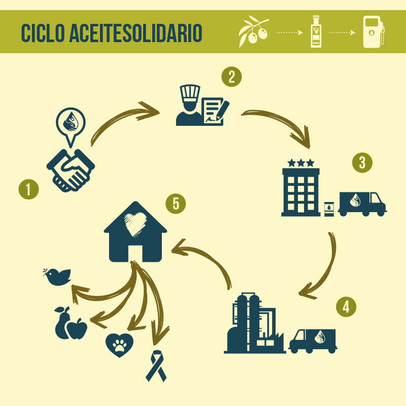AceiteSolidario - Recogida gratis aceite usado de cocina en toda España